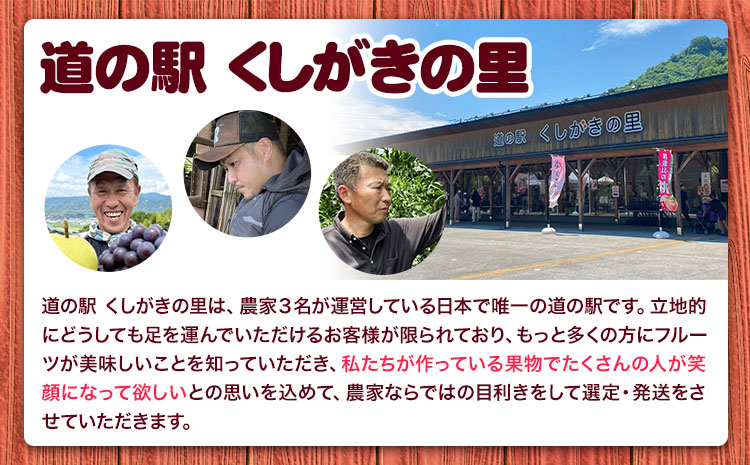 【先行予約】みかん はれひめ 約 5kg 25玉 ～ 30玉 紀農人株式会社《2026年12月中旬-1月末頃出荷》 和歌山県 日高川町 果物 フルーツ 柑橘 蜜柑 柑橘類 旬