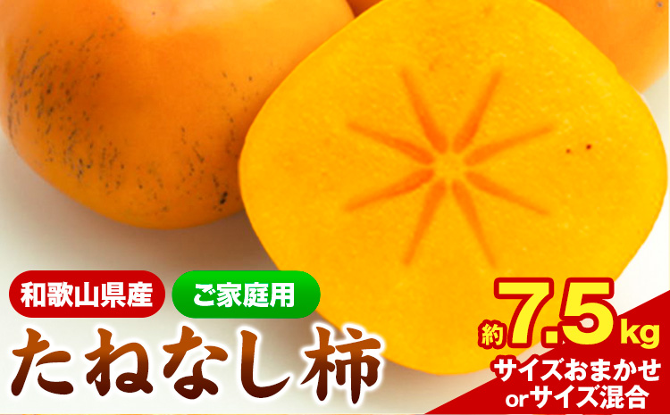 【秋の味覚】＜先行予約＞ 和歌山 産 の たねなし 柿  ご家庭用 約 7.5kg 厳選館 《2025年9月上旬-11月中旬頃出荷》 和歌山県 日高川町 柿 カキ かき ジューシー フルーツ たねなし