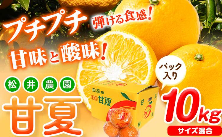 【先行予約】【ふるさと納税】パック入り 甘夏 10kg(サイズ混合) 松井農園《2026年4月上旬-5月中旬頃出荷》和歌山県 日高川町 フルーツ 柑橘 あまなつ(F)