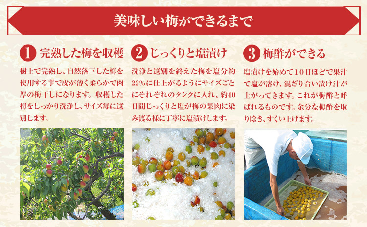 訳あり 紀州南高梅 くずれ梅 しそ風味 1.6kg 農林水産大臣賞受賞《30日以内に出荷予定(土日祝除く)》ウェブセラータクティクス 和歌山県 日高川町 梅干し 塩分 15％ 漬け物 ごはんのお供 白ごはん 訳あり梅干し うめぼし(f-1)