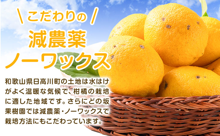 レモン 訳あり 国産 レモン 5kg (サイズ混合) ノーワックス 減農薬 どの坂果樹園《2025年2月上旬-5月末頃より出荷》 和歌山県 日高川町 レモン れもん 檸檬 家庭用 旬 新鮮 果物 柑橘 フルーツ 訳あり 大容量 Lemon remon 送料無料