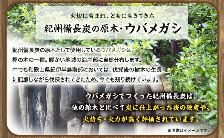 紀州備長炭 馬目小丸 約15kg 株式会社紀 《30日以内に出荷予定(土日祝除く)》 和歌山県 日高川町 備長炭 炭 プロの 料理人 愛用