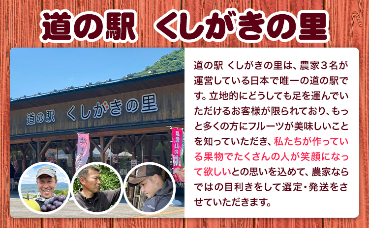 桃 かつらぎ町産 約 2kg 紀農人株式会社《2025年6月上旬-8月中旬頃出荷》 和歌山県 日高川町 果物 フルーツ 桃 もも モモ 旬