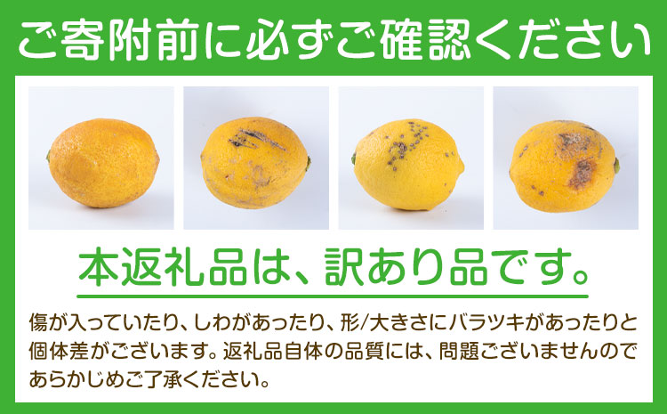 レモン 訳あり 国産 レモン 5kg (サイズ混合) ノーワックス 減農薬 どの坂果樹園《2025年2月上旬-5月末頃より出荷》 和歌山県 日高川町 レモン れもん 檸檬 家庭用 旬 新鮮 果物 柑橘 フルーツ 訳あり 大容量 Lemon remon 送料無料