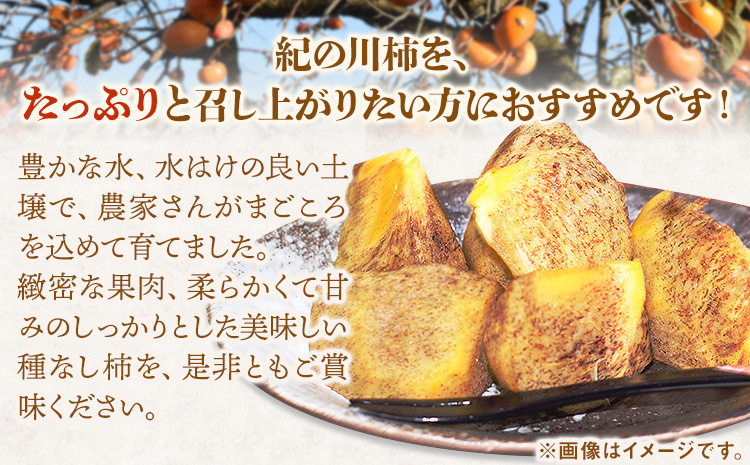 ＜先行予約＞希少 紀の川柿 約1.8～2kg（種無し）秀選品 厳選館 《2025年10月中旬-11月中旬頃出荷》 和歌山県 日高川町 柿 カキ かき ジューシー フルーツ