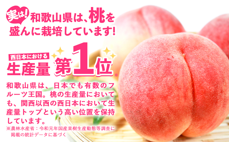 桃 かつらぎ町産 約 2kg 紀農人株式会社《2025年6月上旬-8月中旬頃出荷》 和歌山県 日高川町 果物 フルーツ 桃 もも モモ 旬