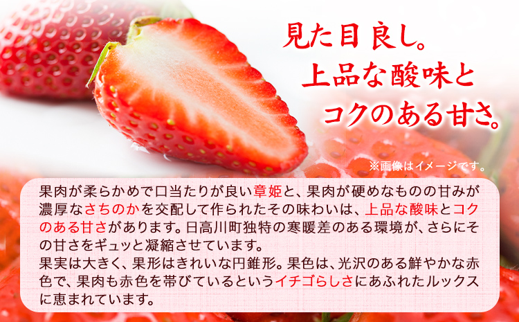 いちご 毬姫様 イチゴ まりひめさま 約450g みはらファーム《12月中旬-3月中旬頃より出荷予定》和歌山県 日高川町 苺 フルーツ 果物 お取り寄せフルーツ お取り寄せ