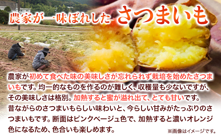 和歌山県のサツマイモ 在来種 小さめサイズ 5kg みはらファーム《12月中旬‐4月下旬頃出荷》和歌山県 日高川町 みはらファーム さつま芋 薩摩芋 さつまいも