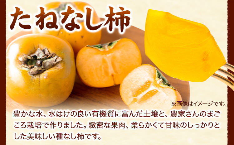 【秋の味覚】＜先行予約＞和歌山産 の たねなし 柿 2L〜4Lサイズ 約 4kg（化粧箱入り）厳選館《2025年10月上旬-11月中旬頃出荷》和歌山県 日高川町 柿 カキ かき ジューシー フルーツ たねなし