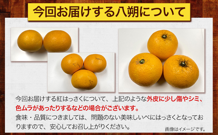 【先行受付】樹上完熟 紅はっさく 約10kg S～3L 家庭用 サイズ混合 横川果樹園 《2025年4月上旬-5月上旬頃出荷》 和歌山県 日高川町 みかん 完熟 柑橘 フルーツ 八朔 はっさく