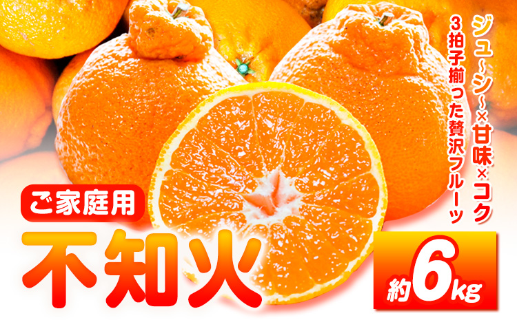 【先行予約】【ご家庭用】紀州有田産 不知火 ( しらぬひ )  約6kg 株式会社魚鶴 《2月中旬-3月中旬頃出荷》 和歌山県 日高川町 不知火 みかん 柑橘 果物 フルーツ デコポン と同品種 でこぽん 訳あり不知火 訳ありデコポン 訳あり