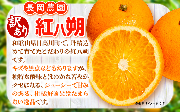 【訳あり】紅八朔 約10kg 長岡農園《2025年3月下旬-5月中旬頃出荷》 和歌山県 日高川町 紅八朔 八朔 はっさく