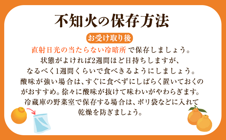 完熟 不知火 ( デコポン)と同品種 約10kg S～2L 家庭用 サイズ混合 横川果樹園 《3月中旬-4月末頃出荷》 和歌山県 日高川町 不知火 みかん 果物 柑橘 フルーツ 