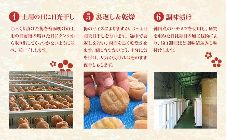 訳あり 紀州南高梅 くずれ梅 しそ風味 1.6kg 農林水産大臣賞受賞《30日以内に出荷予定(土日祝除く)》ウェブセラータクティクス 和歌山県 日高川町 梅干し 塩分 15％ 漬け物 ごはんのお供 白ごはん 訳あり梅干し うめぼし(f-1)