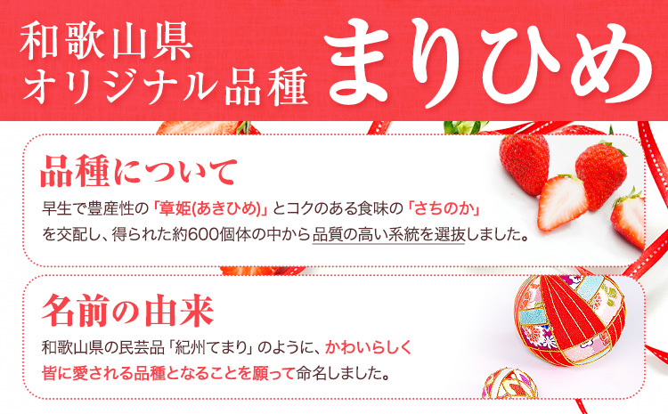 【先行予約】紀州和歌山ブランドいちご「まりひめ」約250g×4パック 約1kg 株式会社魚鶴《2026年3月上旬-3月下旬頃より出荷予定》和歌山県 日高川町 いちご 苺 まりひめ フルーツ 果物 スイーツ 送料無料