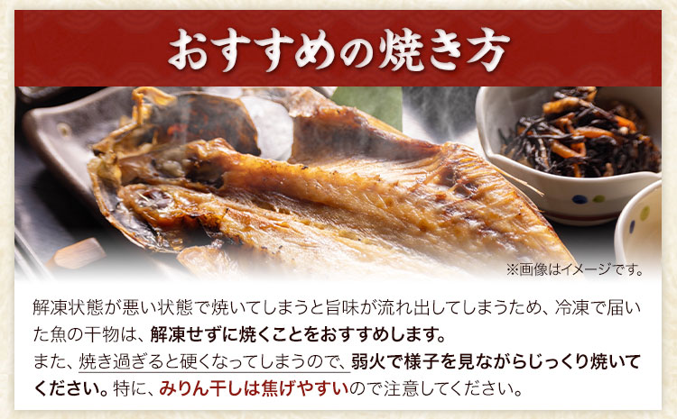 新鮮魚の鯛入り梅塩干物と湯浅醤油みりん干し7品種11尾入りの詰め合わせ（和歌山近海産の新鮮魚使用） 厳選館《90日以内に出荷予定(土日祝除く)》和歌山県 日高川町 送料無料