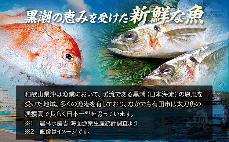 新鮮魚の鯛入り梅塩干物と湯浅醤油みりん干し7品種11尾入りの詰め合わせ（和歌山近海産の新鮮魚使用） 厳選館《90日以内に出荷予定(土日祝除く)》和歌山県 日高川町 送料無料