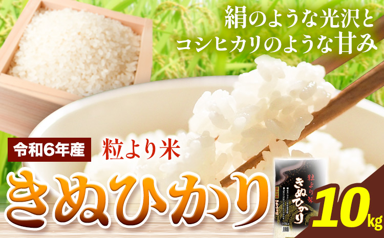 令和6年産 粒より米 きぬひかり 10kg JA紀州 さわやか日高《90日以内に出荷予定(土日祝除く)》 和歌山県 日高川町 米 こめ コメ きぬひかり キヌヒカリ 送料無料 精米