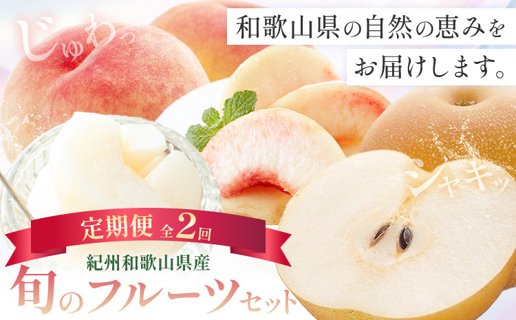紀州 和歌山県産 旬の フルーツ セット 2ヶ月定期便 8月・9月配送 桃 約1.8kg 梨 約2kg 株式会社魚鶴商店《8月-9月頃出荷》和歌山県 日高川町 もも なし 定期便 果物 旬