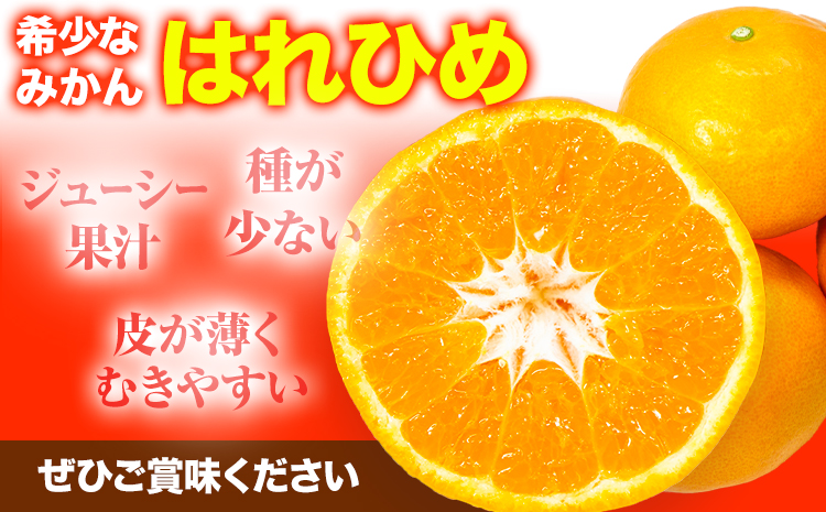 【先行予約】みかん はれひめ 約 5kg 25玉 ～ 30玉 紀農人株式会社《2025年12月中旬-2月上旬頃出荷》 和歌山県 日高川町 果物 フルーツ 柑橘 蜜柑 柑橘類 旬