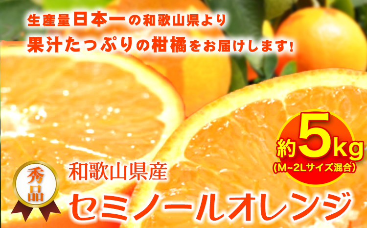 和歌山県産 秀品 セミノールオレンジ 約5kg (M~2Lサイズ混合) 厳選館《2024年4月上旬-5月上旬頃出荷》和歌山県 日高川町