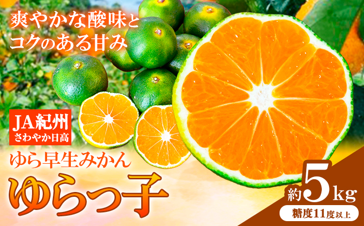 【先行予約】ゆら早生みかん「ゆらっ子」 約5kg JA紀州産直店 さわやか日高（日高川町）《10月上旬-11月上旬頃出荷》 和歌山県 日高川町 ゆら早生みかん みかん 早生 柑橘 蜜柑 フルーツ