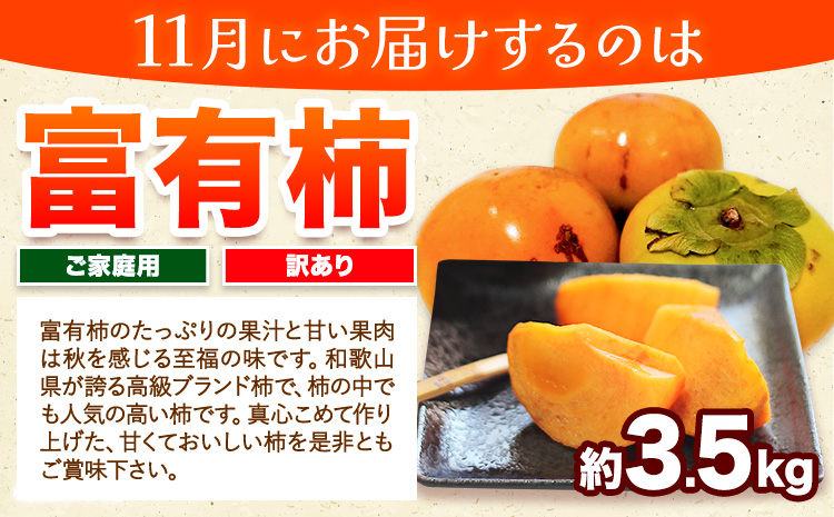 【発送月固定定期便】フルーツセット ご家庭用 訳あり果物セット (平核無柿 富有柿 みかん)【全３回】 魚鶴商店《10月上旬-12月上旬出荷予定(土日祝除く)》 和歌山県 日高川町 平核無柿 富有柿 柿 みかん 柑橘 蜜柑 果物 フルーツ 送料無料 定期便