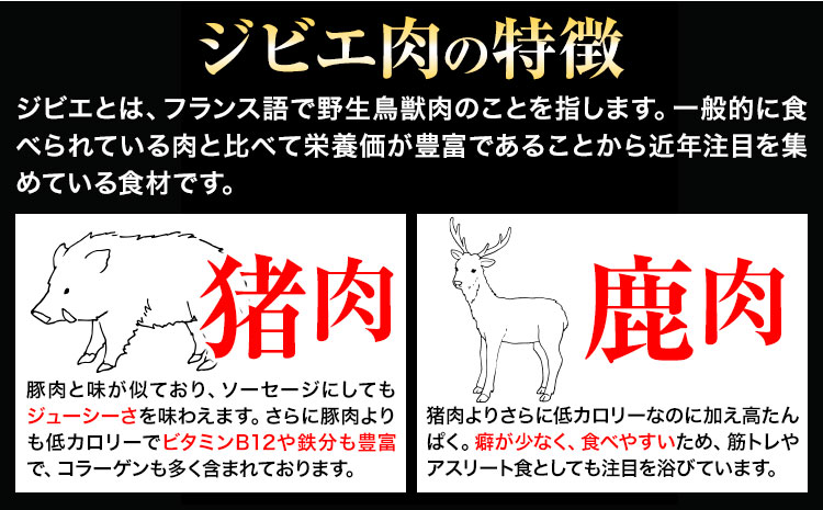 わかやま ジビエ ソーセージ 猪 鹿 10Pセット 1000g 株式会社Meat Factory《30日以内に出荷予定(土日祝除く)》和歌山県 日高川町 ソーセージ ジビエ料理 猪肉 鹿肉 10個 惣菜