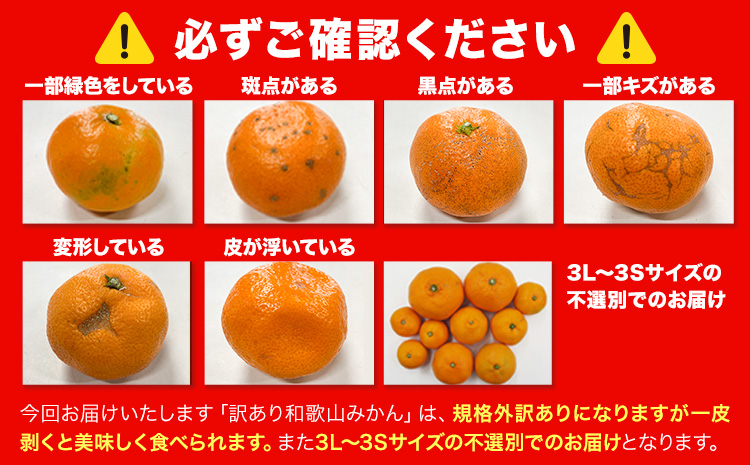 蜥梧ュ悟アア逵檎肇 險ウ縺ゅj 縺ソ縺九s (3Sス3L) 邏1.5kg縲11譛井ク頑流-12譛域忰鬆蜃コ闕キ縲句柱豁悟アア逵 譌・鬮伜キ晉伴 譫懃黄 繝輔Ν繝シ繝 險ウ縺ゅj縺ソ縺九s 螳カ蠎ュ逕ィ