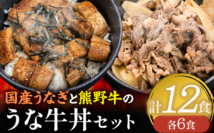 牛丼 熊野牛 国産うなぎ うな牛丼セットB 計12食 各6食 株式会社Meat Factory《30日以内に出荷予定(土日祝除く)》和歌山県 日高川町 牛肉 肉 牛丼 国産 うなぎ うな牛 送料無料