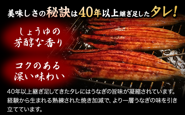 大型サイズ ふっくら柔らか国産 うなぎ 蒲焼き 3尾 化粧箱入(真空パック入) 株式会社魚鶴商店《30日以内に出荷予定(土日祝除く)》 和歌山県 日高川町 うなぎ 鰻 ギフト 贈り物