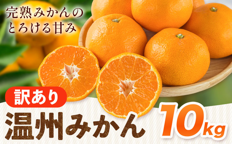 温州みかん 10kg 訳あり品 亀井農園 《11月上旬-1月中旬出荷予定(土日祝除く)》和歌山県 日高川町 柑橘類 柑橘 果物 フルーツ ミカン みかん 温州