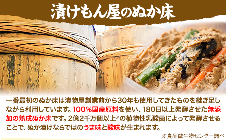 ぬか床カンタンセット (ぬか床 容器 調味料 セット) 樽の味 《90日以内に出荷予定(土日祝除く)》 和歌山県 日高川町 ぬか ぬかどこ ぬか漬け ぬか漬けセット ぬか床セット 容器 簡単 手作り 無添加