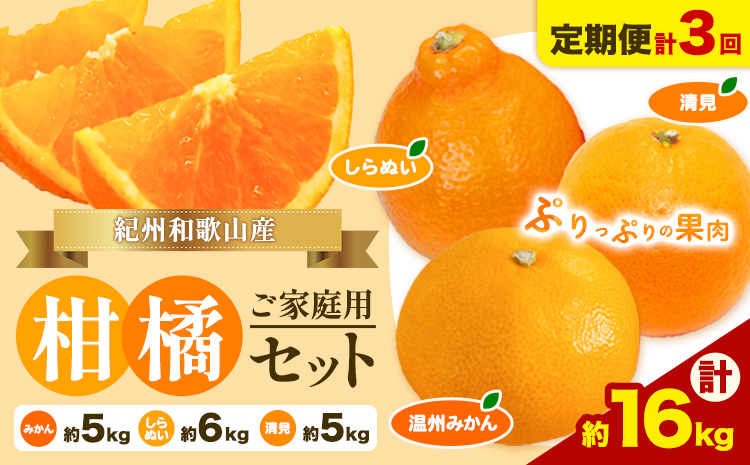 【発送月固定定期便】紀州 和歌山産 旬の ご家庭用 柑橘 セット (みかん 不知火 清見)【全３回】 計16kg 株式会社魚鶴《2027年1月上旬-4月上旬頃出荷》 和歌山県 日高川町 オレンジ 柑橘 蜜柑 果物 訳あり 送料無料 定期便