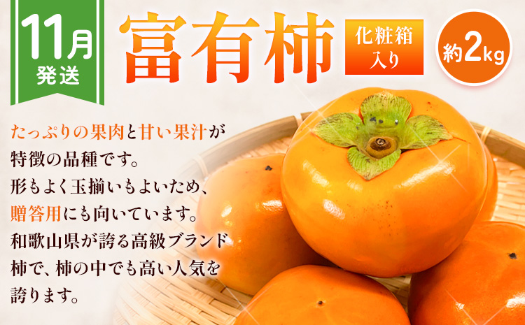 【先行予約】【発送月固定定期便】紀州和歌山産 旬のフルーツ便（いちご・桃・富有柿）【全３回】魚鶴商店《2027年2月上旬-11月末頃出荷》 和歌山県 日高川町 まりひめいちご 紀州和歌山産の桃 富有柿 化粧箱 贈答用 定期便