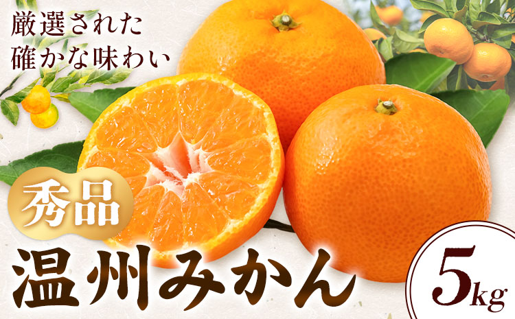 温州みかん 約5kg 秀品 亀井農園 《11月上旬-1月中旬出荷予定(土日祝除く)》和歌山県 日高川町 柑橘類 柑橘 果物 フルーツ ミカン みかん 温州
