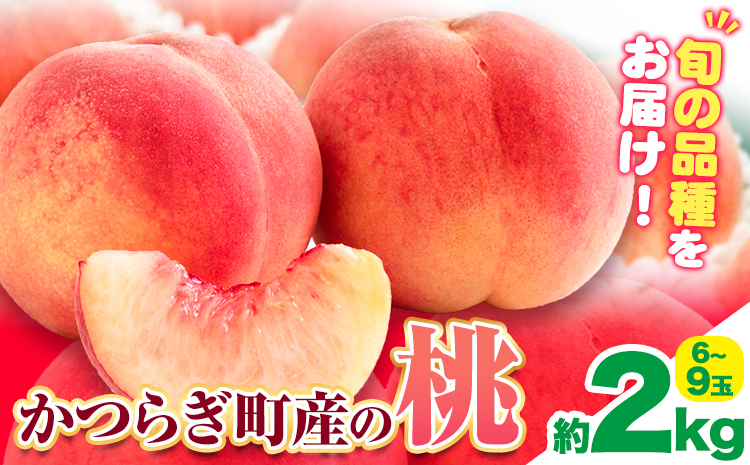 桃 かつらぎ町産 約 2kg 紀農人株式会社《2025年6月上旬-8月中旬頃出荷》 和歌山県 日高川町 果物 フルーツ 桃 もも モモ 旬