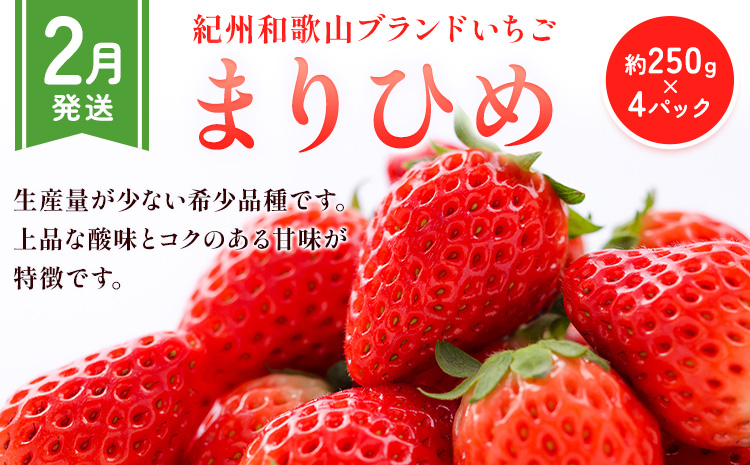 【先行予約】【発送月固定定期便】紀州和歌山産 旬のフルーツ便（いちご・桃・富有柿）【全３回】魚鶴商店《2027年2月上旬-11月末頃出荷》 和歌山県 日高川町 まりひめいちご 紀州和歌山産の桃 富有柿 化粧箱 贈答用 定期便