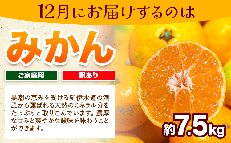 【発送月固定定期便】フルーツセット ご家庭用 訳あり果物セット (平核無柿 富有柿 みかん)【全３回】 魚鶴商店《10月上旬-12月上旬出荷予定(土日祝除く)》 和歌山県 日高川町 平核無柿 富有柿 柿 みかん 柑橘 蜜柑 果物 フルーツ 送料無料 定期便