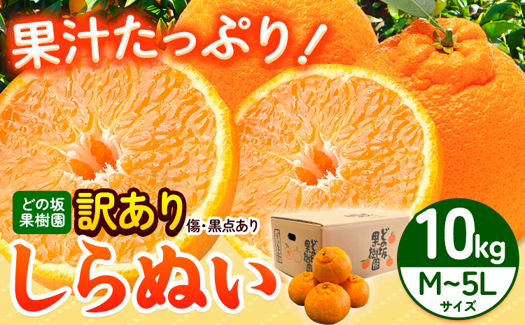 訳あり 不知火 ( デコポン と同品種 ) しらぬい 約 10kg (M～5Lサイズ) どの坂果樹園《2027年2月上旬-4月上旬頃出荷》 和歌山県 日高川町 しらぬい 不知火 デコポン でこぽん 旬 果物 フルーツ 柑橘 訳あり不知火 訳ありデコポン 訳ありしらぬい 送料無料