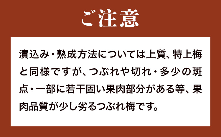 昔ながらの梅干し 訳あり つぶれ梅 計1kg 500g 2パック 農業法人 株式会社紀州梅香《30日以内に出荷予定(土日祝除く)》 和歌山県 日高川町 梅 うめ フルーツ 果物