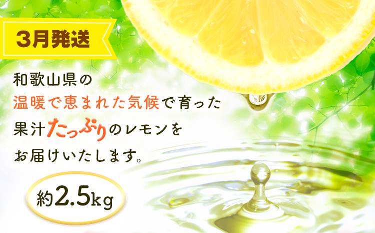 【定期】紀州和歌山産 旬のフルーツセット(あんぽ柿 レモン 桃) 株式会社魚鶴商店《1月中旬-7月末頃出荷》和歌山県 日高川町 柿 あんぽ柿 レモン 桃 もも フルーツ 定期 定期便 フルーツ定期便 果物