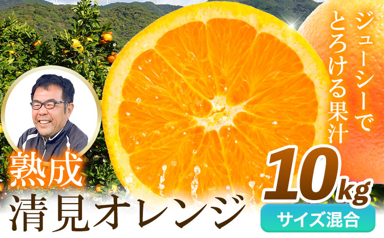 熟成清見オレンジ 10kg どの坂果樹園《3月上旬-5月中旬頃出荷》 和歌山県 日高川町 清見オレンジ 旬 柑橘 フルーツ 果物 オレンジ 熟成st-p