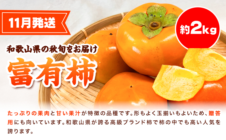 ã宿ãçŽå·åæå±±ç£ æ¬ã®ãã«ãŒãã»ãã(ããšã æ¡ å¯ææ¿) çŽ6.5kg æ ªåŒäŒç€Ÿéé¶Žååºã3æäžæ¬-12æäžæ¬é åºè·ãåæå±±ç æ¥é«å·çº æ¿ å¯ææ¿ ããšã æ¡ ãã ãã«ãŒã