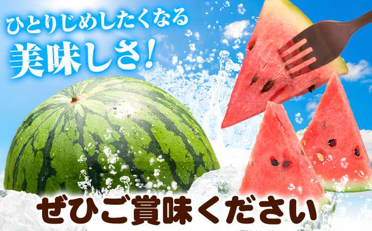 紀州和歌山産 小玉スイカ 「ひとりじめ」 1玉 魚鶴商店《2026年6月上旬-7月上旬頃出荷》 和歌山県 日高川町 スイカ スイーツ フルーツ