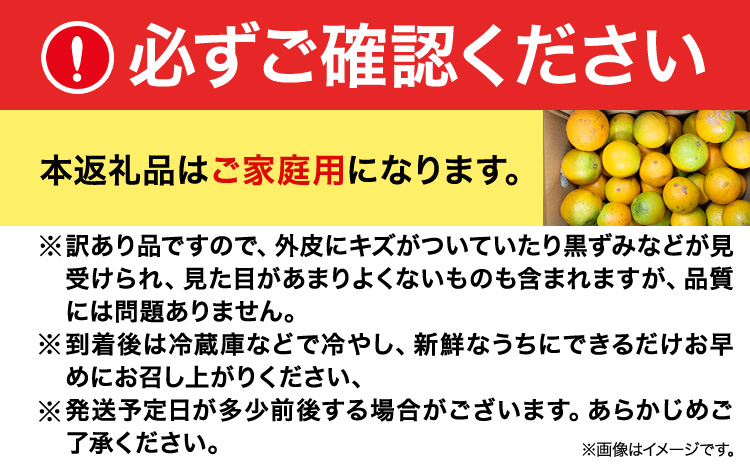 ããå®¶åºçšèš³ãããâ»å
è¡äºçŽâ»åžå°ãªåœç£ãã¬ã³ã·ã¢ãªã¬ã³ãž çŽ7kg æ ªåŒäŒç€Ÿéé¶Žååºã2026幎6æäžæ¬-7æäžæ¬åºè·ãåæå±±ç æ¥é«å·çº