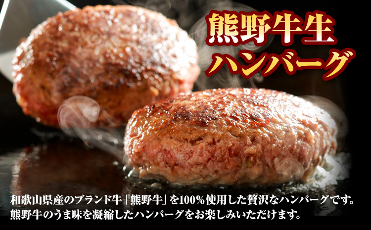 牛肉 熊野牛 惣菜 セット ローストビーフ 生ハンバーグ 株式会社Meat Factory《30日以内に出荷予定(土日祝除く)》和歌山県 日高川町 熊野牛 牛 和牛 惣菜 ハンバーグ