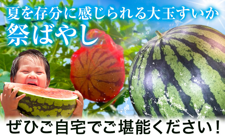 【2026年先行予約】贅沢な甘さとシャリ感 空中育ちの大玉すいか 祭ばやし 6kg以上 1玉 そうがわ農園 《2026年6月下旬-8月上旬頃出荷》 和歌山県 日高川町 スイカ 西瓜 すいか 大玉