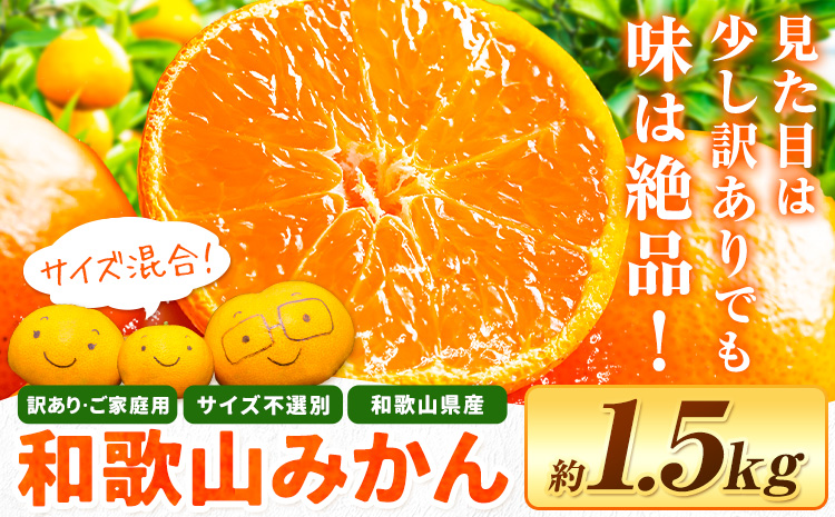 和歌山県産 訳あり みかん (3S〜3L) 約1.5kg[11月上旬-12月末頃出荷]和歌山県 日高川町 果物 フルーツ 訳ありみかん 家庭用