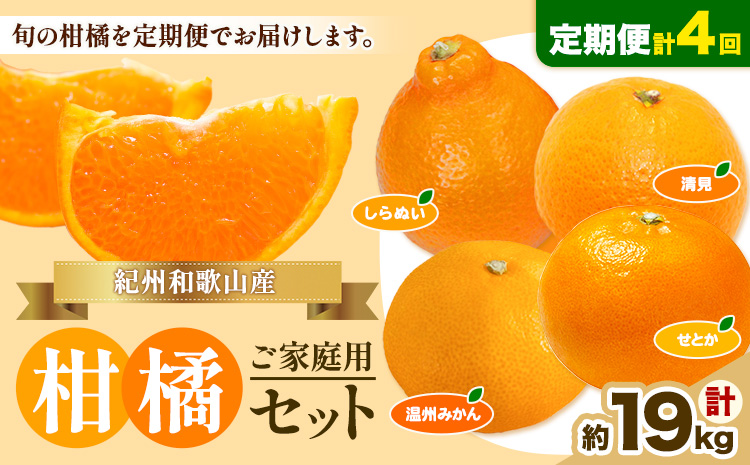 【先行予約】【発送月固定定期便】紀州 和歌山産 旬の ご家庭用 柑橘 セット (みかん 不知火 せとか 清見)【全4回】 計19kg 株式会社魚鶴《2027年1月上旬-5月上旬頃出荷》 和歌山県 日高川町 みかん 不知火 清見 オレンジ 柑橘 蜜柑 果物 訳あり 送料無料 定期便